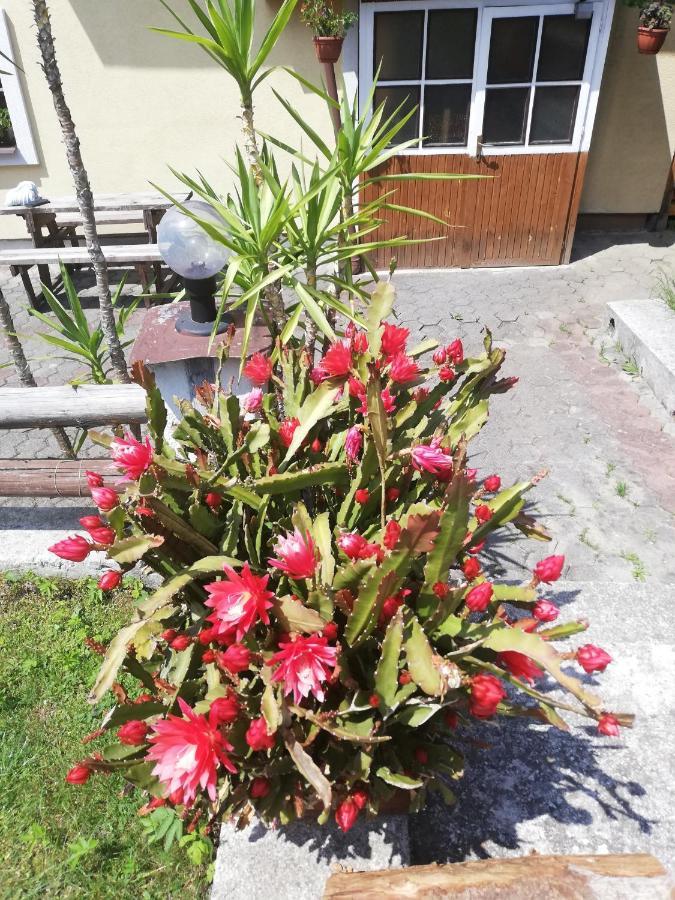 Penzion Baltazar Liptovska Luzna 外观 照片